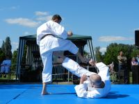 Bilder_2012 (13)
